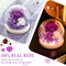 Gifts for Women Preserved Rose Forever Flower in Glass Dome Fresh Flowers for Delivery Prime Mothers Day Birthday Gifts for Mom Grandma Wife Daughter Sister Purple Roses